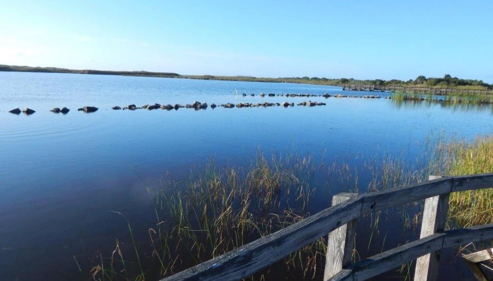 Back Bay National Wildlife Refuge